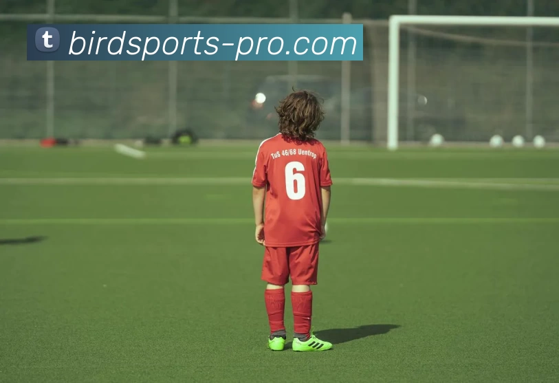 BIRDSPORTSAPP 体育赛事宣传图